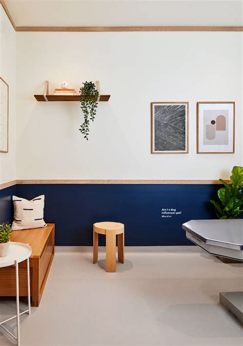 Islyn Studio Creates Soothing Atmosphere In Brooklyns Bond Vet Clinic