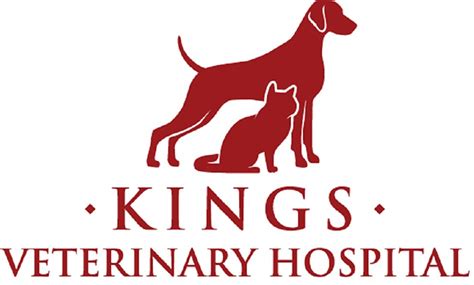 About Kings Veterinary Hospital | Vet In Loveland, OH 45140