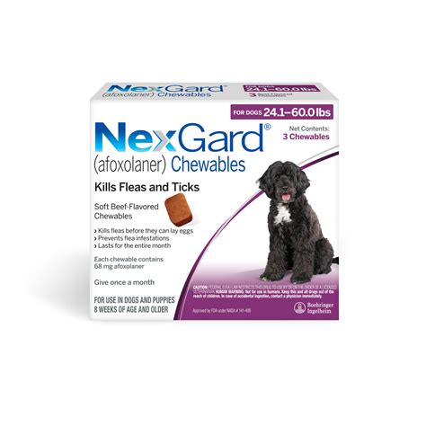 Nexgard for Dogs: Side Effects and Information - Pet Spruce