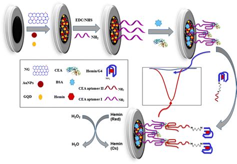 Electrochemical Sandwich Aptasensor For The Carcinoembryonic Antigen