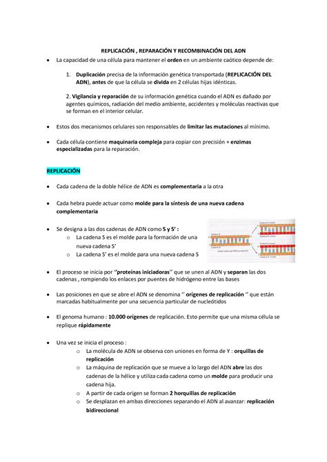 SOLUTION Tema 9 Biologia Mecanismos Gen Ticos Basicos 1o Enfermeria