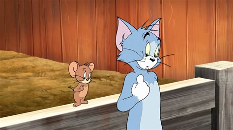 Top 9 bí mật thú vị về phim hoạt hình Tom và Jerry: Bạn Đã Biết Chưa ...