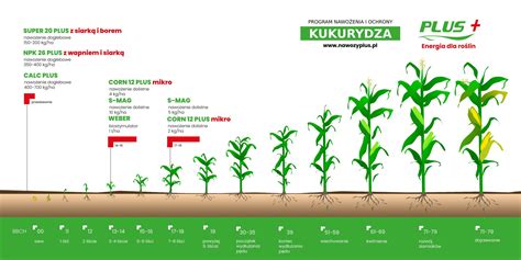 Blog Nawozy Plus