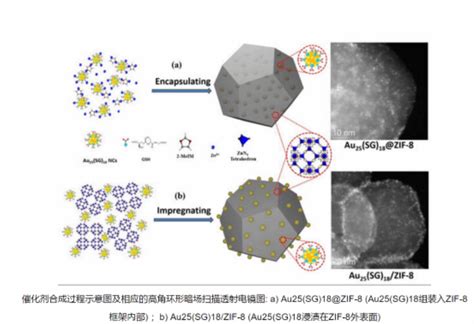 Au ZIF 8 MOF 5纳米簇多功能MOF基有机框架材料量子点纳米复合物 产品说明 技术文章 西安齐岳生物科技有限公司