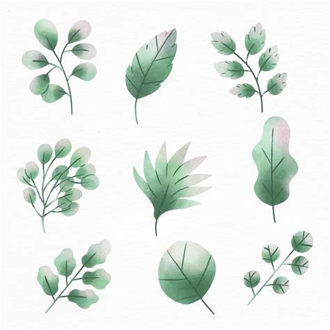 Folhas De Aquarela - Conjunto de design de folhas em aquarela | Vetor Grátis