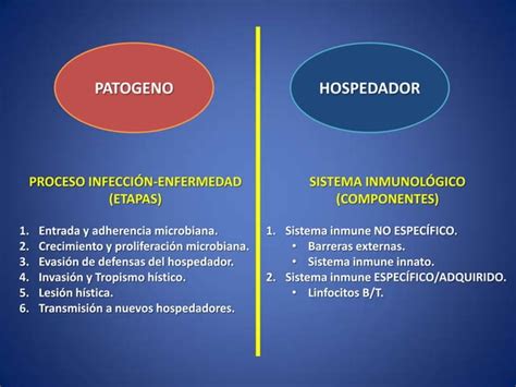 Bacteriologia I Generalidades Interaccionpatogenohospedador Ppt