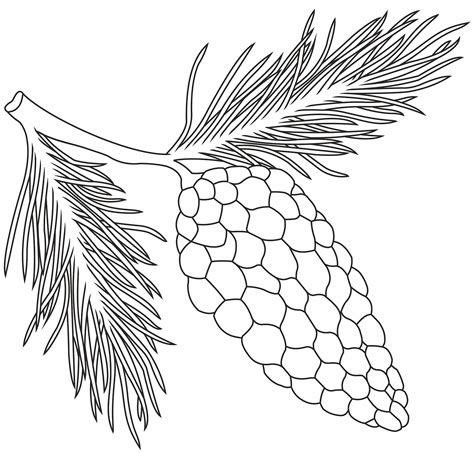 Pine Cone Coloring Page ColouringPages