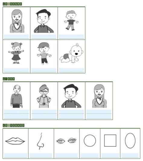 Diagramme De Description Physique Partie 1 FLS Quizlet