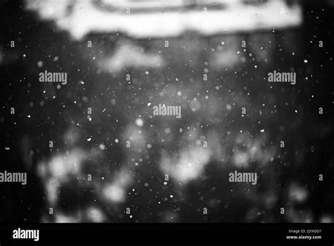 Snow Falling In Dallas Texas Stock Photo Alamy