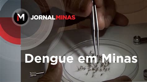 Dengue Em Minas Governo Decreta Fim Da Epidemia De Dengue Jornal