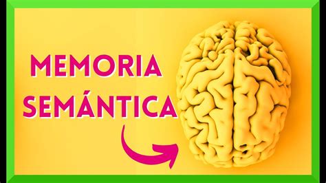 O Que é Memória Semântica BRAINCP