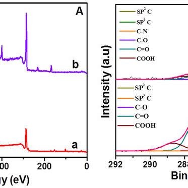 A Wide Scan Xps And B C S Core Level Spectra Of The A Go And B