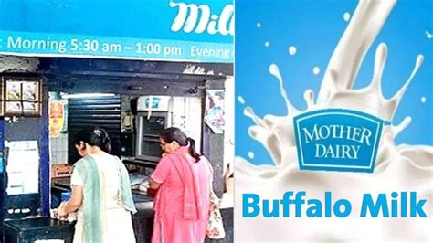 Mother Dairy Introduces Buffalo Milk In Delhi Ncr At Rs 70 Per Litre