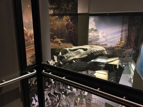 Since today is my birthday, here are some of my favorite sauropod