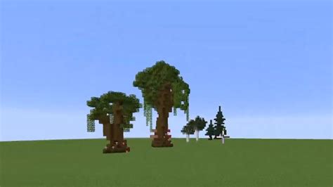 How To Grow Dark Oak Trees In Minecraft