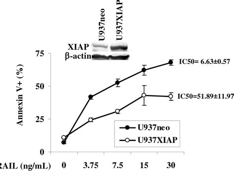 Figure 2 From Triptolide Sensitizes AML Cells To TRAIL Induced