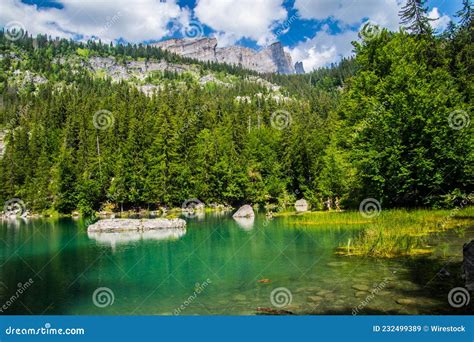 Green Landscape of Lac Vert Lake in Chamonix in Haute Savoie in France