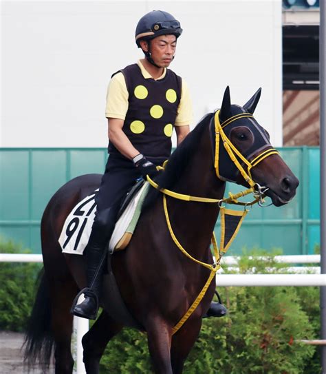 【クイーンs】英g1馬の半妹・モズゴールドバレルが高杉吏麒騎手との初コンビで初の洋芝へ挑む スポーツ報知