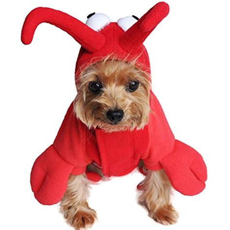 Lobster Dog Halloween Costume at John Hipple blog