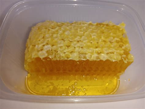 Honeycomb Honey Natural Pure Raw Honey, Unfiltered Honey, 5.3oz 150gr ...