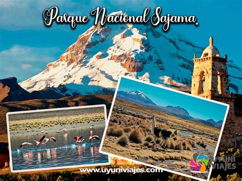 Tour Parque Nacional De Sajama D As Uyuni Viajes