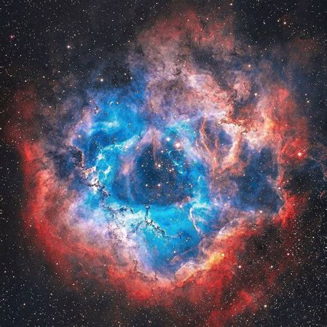 Pretty Cool How To Look Pretty Cosmo S Factory Rosette Nebula Light