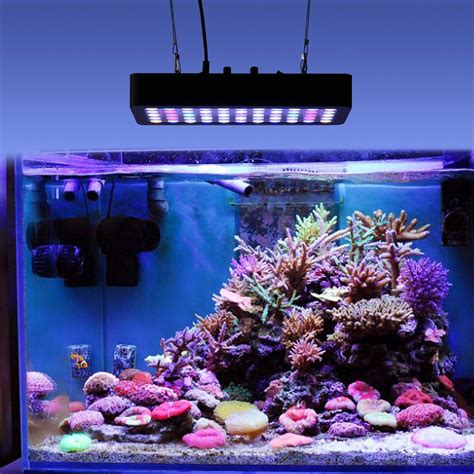 Nano Aquarium Verlichting Sauerstoffmangel Aquarium