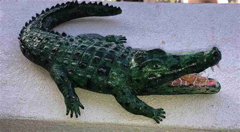 Crocodile Ultimate Paper Mache