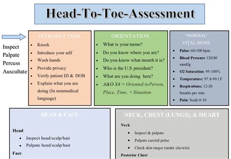 Head To Toe Assessment Guide Nursing Students Health Etsy Nursing