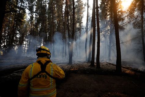 Onemi Declaró Alerta Roja En Valparaíso Por Incendio Forestal En