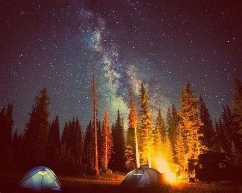 A Night Under the Stars | Go camping, Camping experience, Outdoors adventure