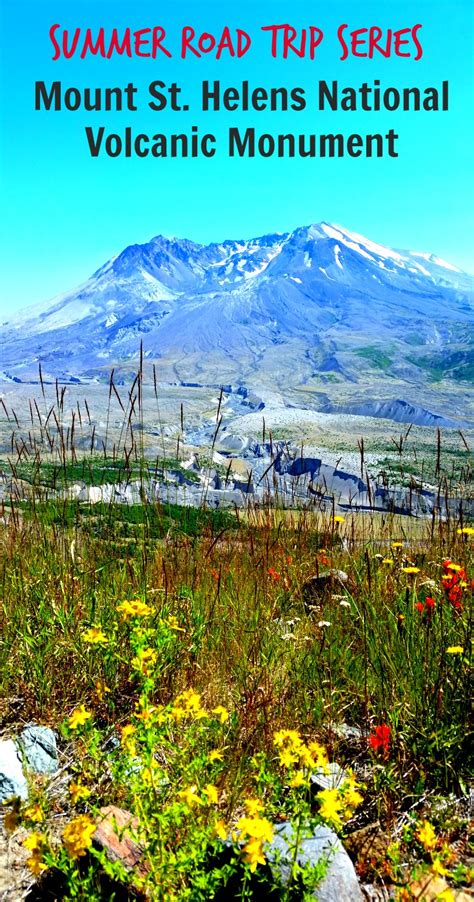 Nature’s Resilience at Mount St. Helens National Volcanic Monument ...