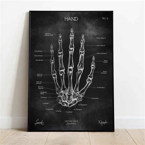 Plakat Anatomia Ręki Chalkboard Anatomy Decor