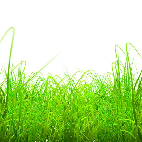 Grass Transparent Vector Design Images, Green And Bright Grass Border ...