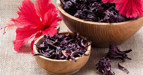 Hibiscus For Hair Natural And Effective Hair Care