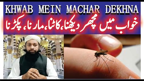 Khwab Mein Machar Dekhna Ki Tabeer خواب میں مچھر دیکھنا Mosquito In