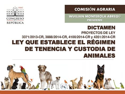 Sustento Ley De Proteccion Y Bienestar Animal By Pepe Huaman Issuu