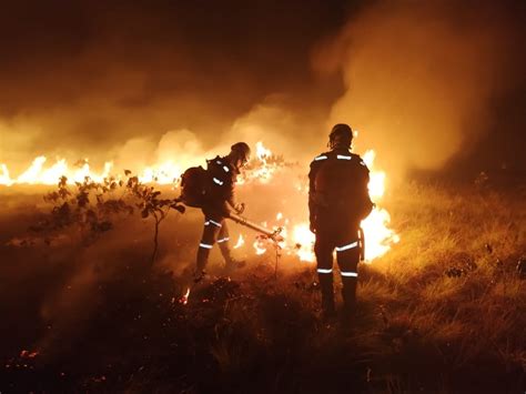 Todavía quedan 7 incendios activos en varias zonas del país El Nuevo