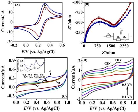 A Cyclic Voltammograms Recorded At A Bare Gce And B Fe O Gce