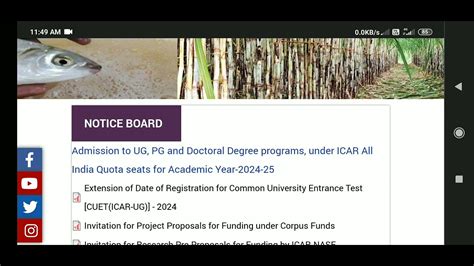 Cuet Icar Ug Online Application Form Last Date Cuet Icar Ug