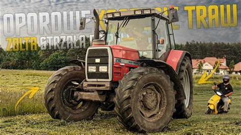 Żółta Strzała Na Polu Koszenie Traw 2023 Na Wesoło Massey Ferguson