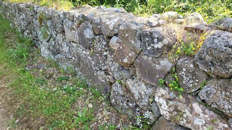 Stone Walls A Symbol Of New Englands History Herrick And Salsbury