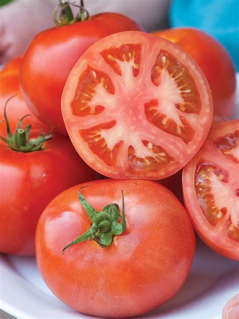 The 15 Best Beefsteak Tomatoes To Grow In 2022 Food Gardening Network