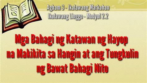 Science Mga Bahagi Ng Katawan Ng Hayop Na Makikita Sa Hangin At Ang