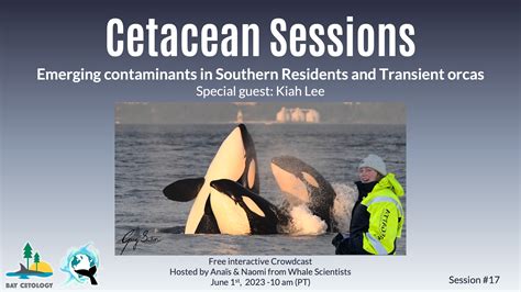 Cetacean Sessions #17 - crowdcast