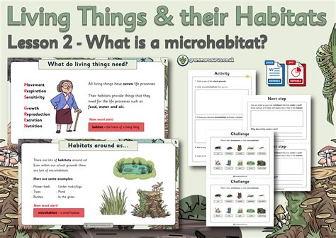 Year 2 Science Living Things And Their Habitats What Is A Microhabitat Lesson 2 Grammarsaurus