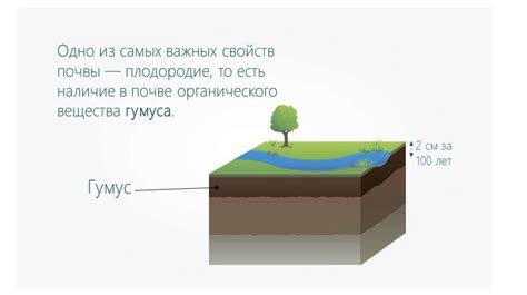 Почва особое природное тело online presentation