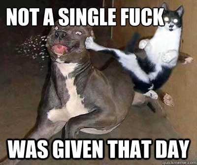 Not A Single Fuck Was Given That Day Misc Quickmeme