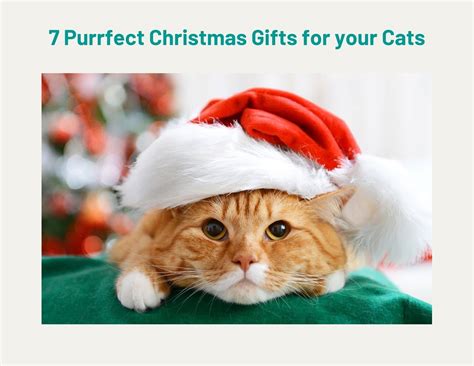 7 Purrfect Christmas Ts For Your Cats Trusty Tails Pet Care