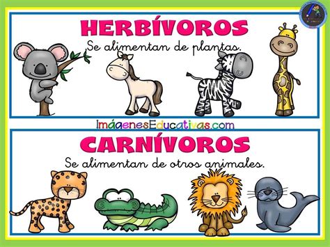 Tipos De Animales Tarjetas Para Plastificar Imagenes Educativas